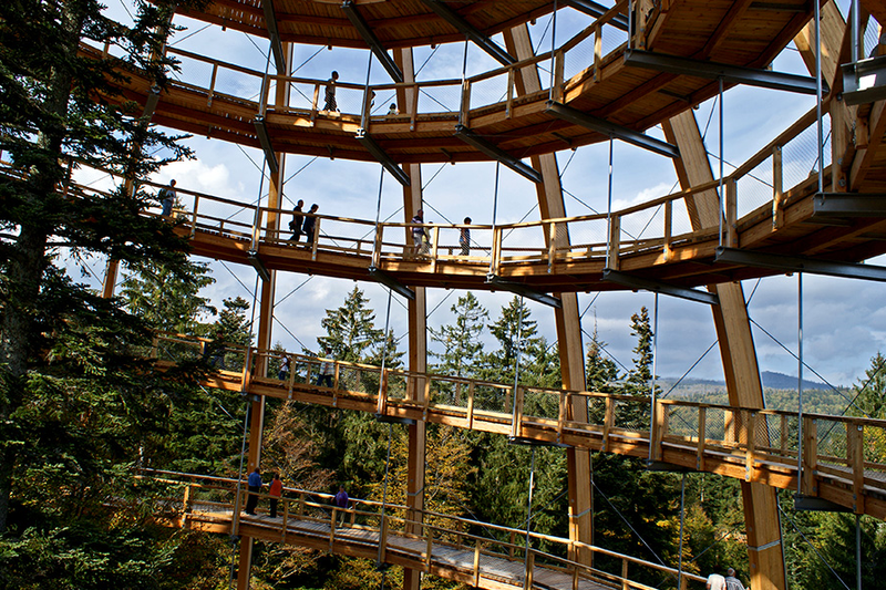 Illustration for article titled Germany's new 18-story Tree Top Walk is shaped like a giant egg